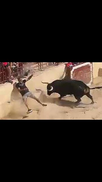 Horror moment tourist gored by raging bull after 'jumping on its back