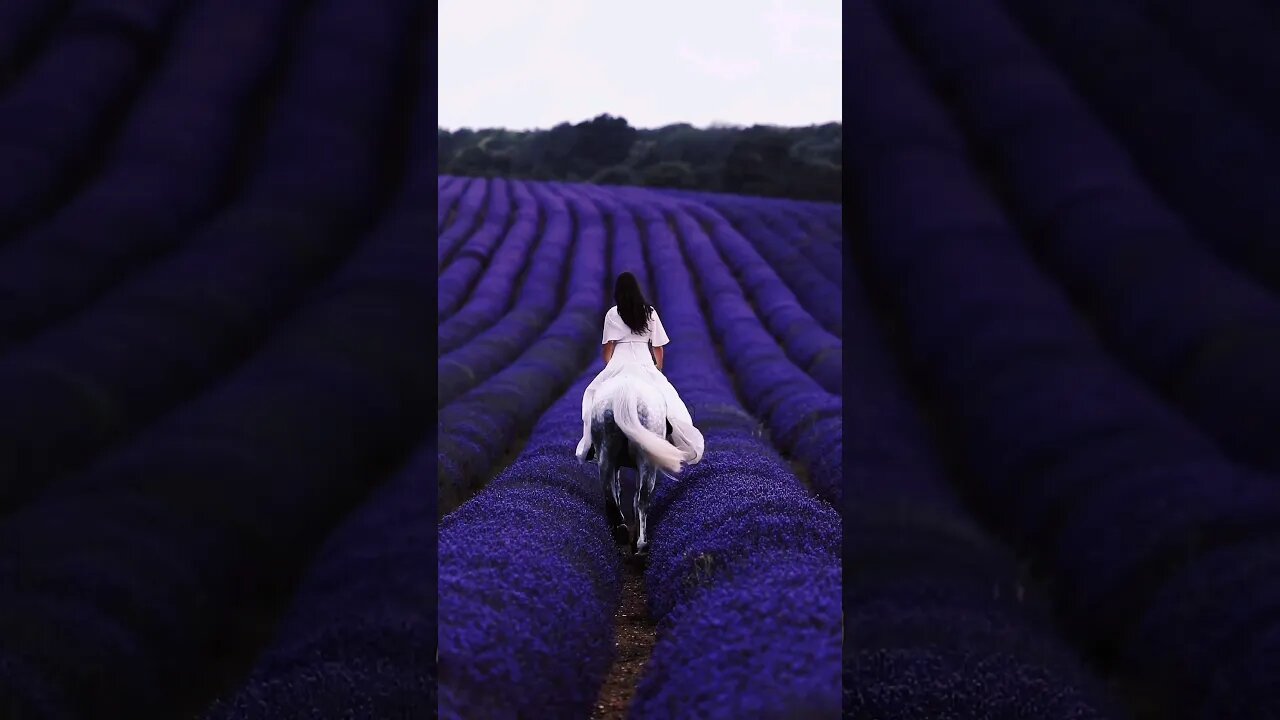 Mysterious Clock Piano Edits💜