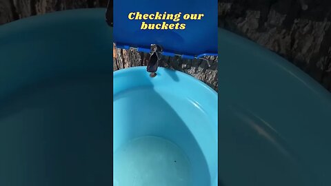 CHECKING OUR BUCKETS PART 3