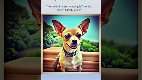 The 2nd most views are from LA. I type "LA Chihuahua" to see what happens. #shorts