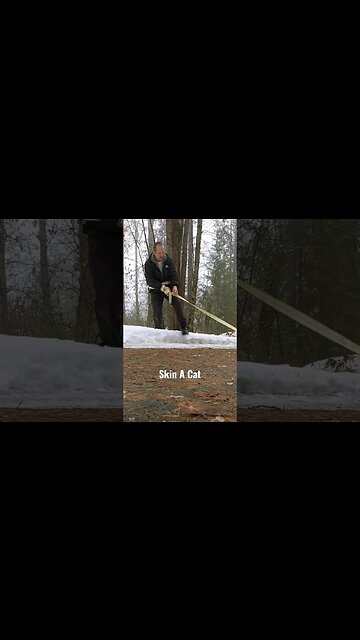 Clearing a tree that fell across my path. #shorts #tree