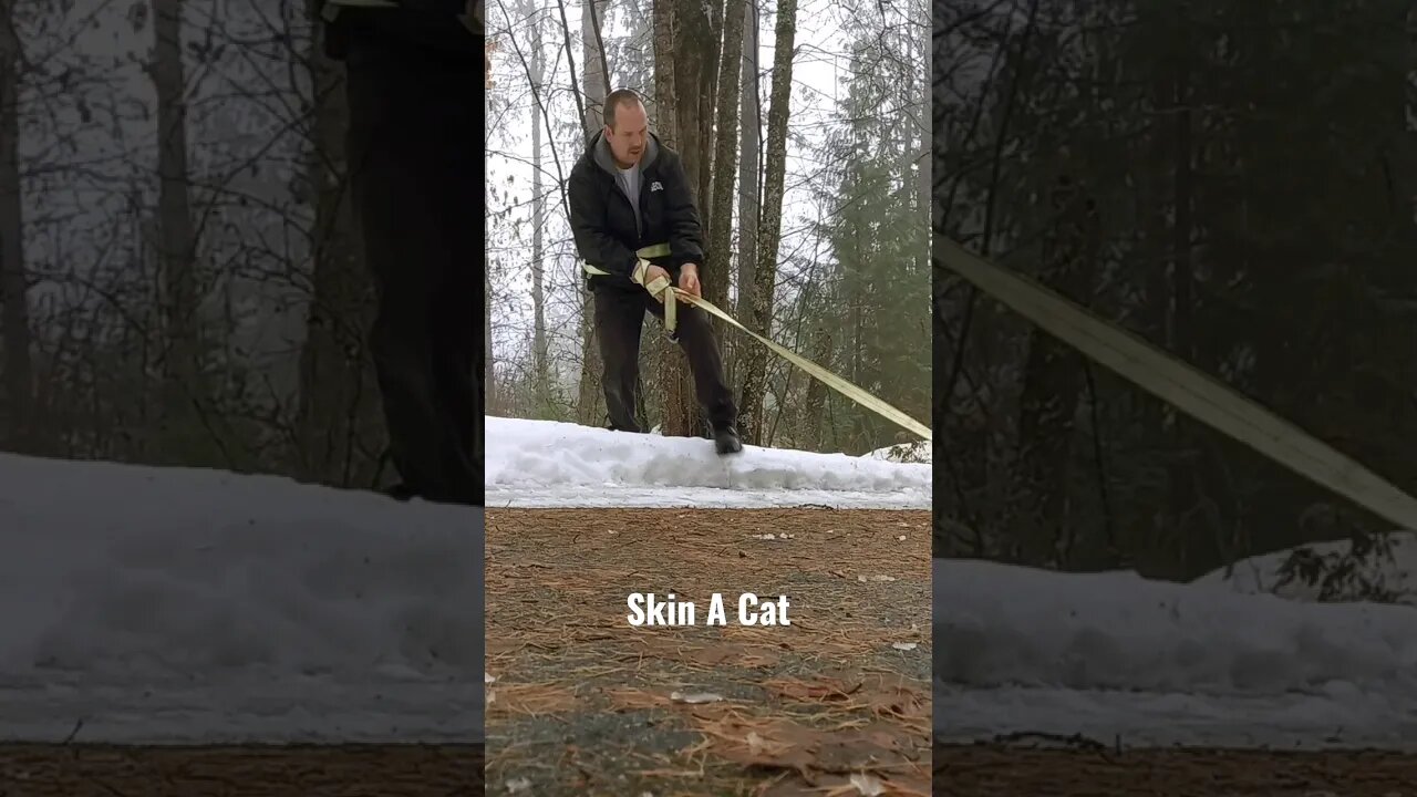 Clearing a tree that fell across my path. #shorts #tree