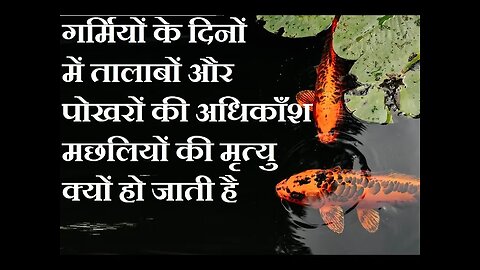 गर्मियों के दिनों में तालाबों और पोखरों में रहने वाली अधिकतर मछलियाँ मर क्यों जाती हैं