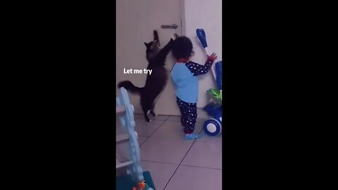 Funniest Cat Ever - Try Not to Laugh - Best of Tiktok 2022 #2