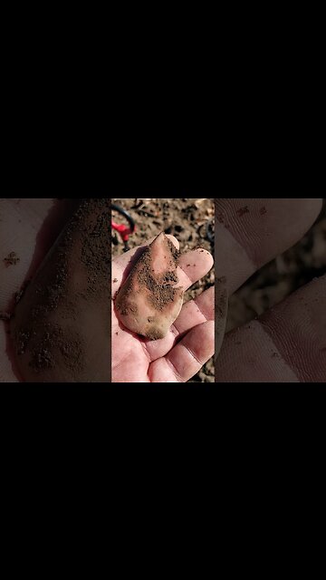 no soup for you! #metaldetecting #trending #silver #civilwar #coins #buttons #relics