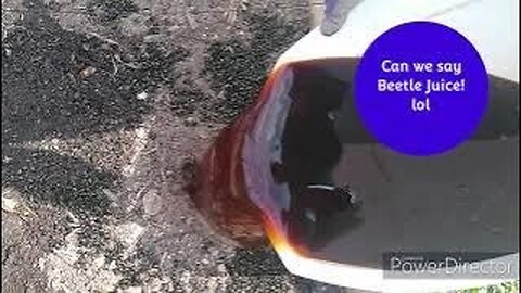 Japanese Beetle Experiment: Fertilizer??