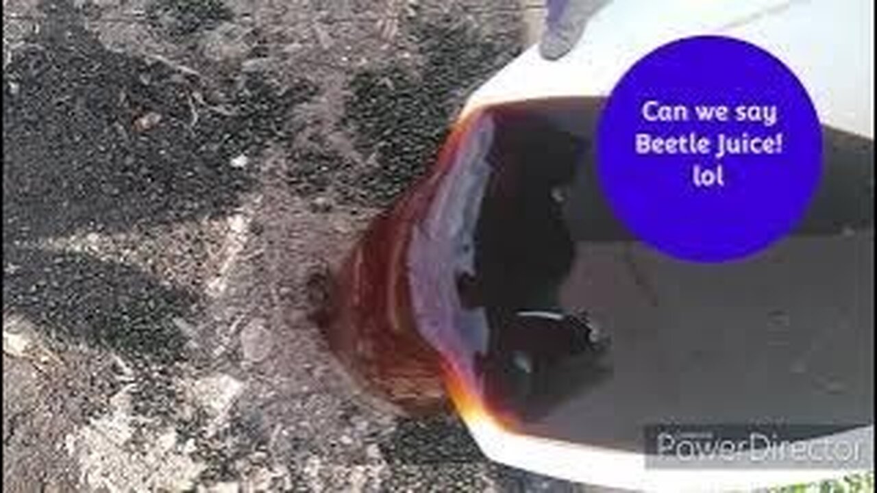 Japanese Beetle Experiment: Fertilizer??