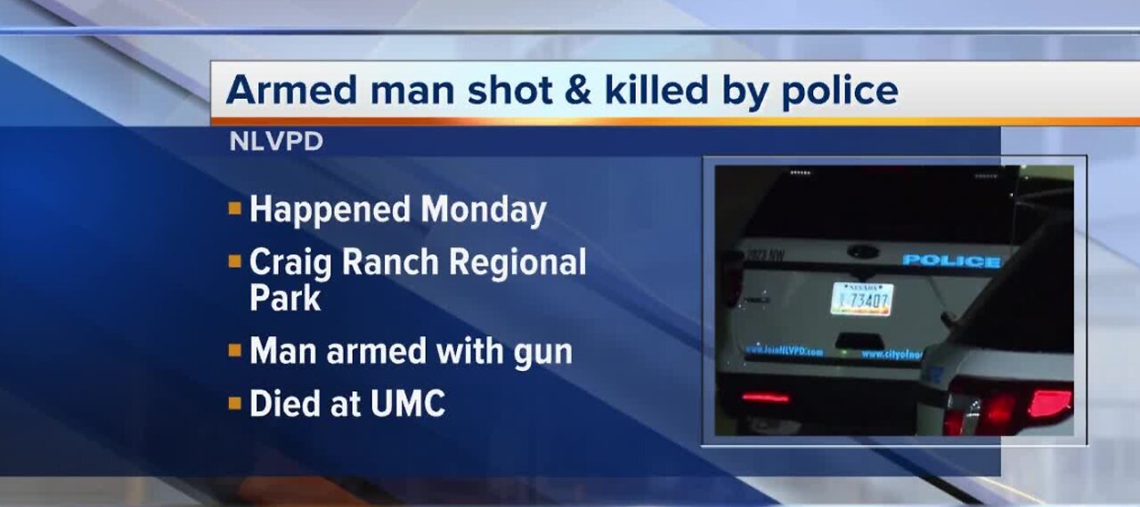 Armed man shot and killed by police