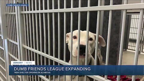 Dumb Friends League opening new shelter in So. Colorado