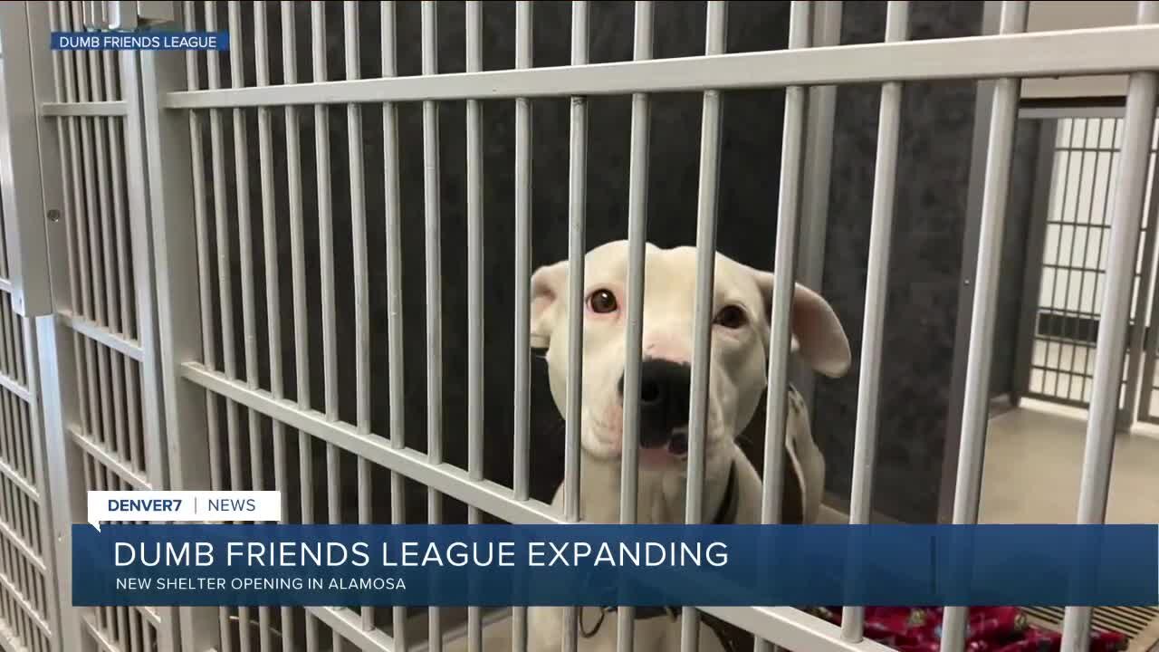 Dumb Friends League opening new shelter in So. Colorado