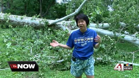 Crews prep for day three of storm damage cleanup