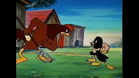 The Orphan Egg Cartoon funny video Entertainment