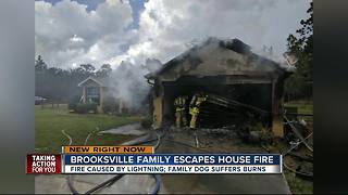 Lightning strike sets Hernando County garage and kitchen ablaze, family dog injured