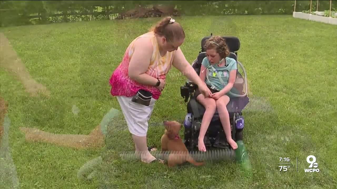 Girl with rare condition gifted service dog from community