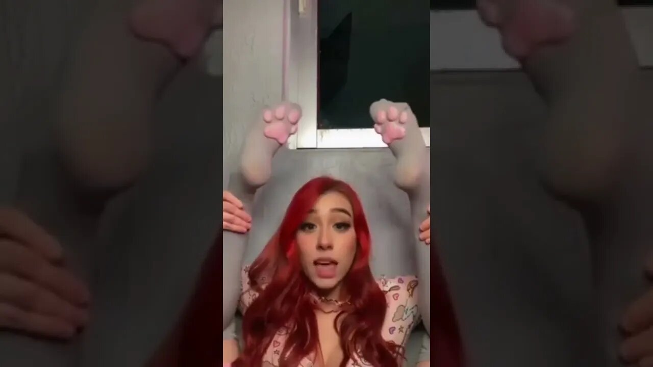 cat feet #shorts #trending #girl #sexy
