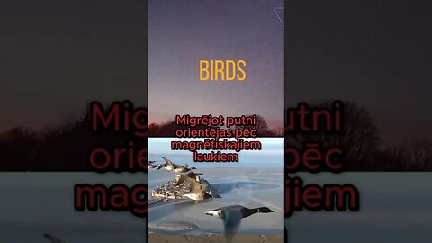 Kādi ir ģeomagnētisko traucējumu cēloņi ⁉️🤔 Uzzini forumā "Globālā krīze. Izeja ir".