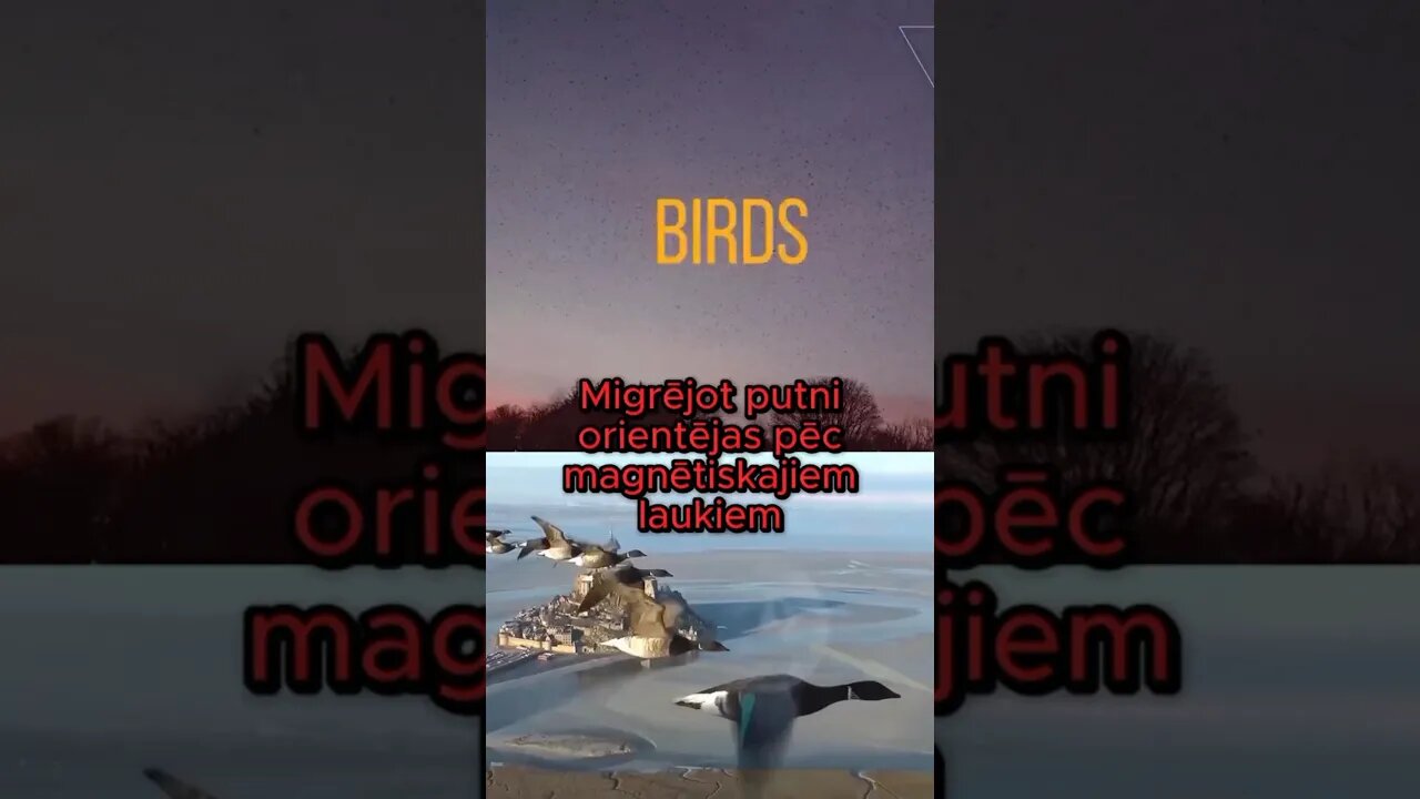 Kādi ir ģeomagnētisko traucējumu cēloņi ⁉️🤔 Uzzini forumā "Globālā krīze. Izeja ir".