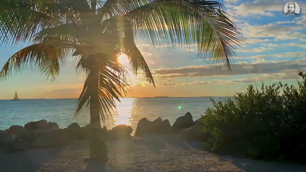 Y aconteció que aquella parte del campo era de Booz (Rut 2:3) Devocional de hoy Charles Spurgeon