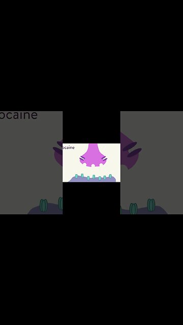 Why cocaine causes euphoria