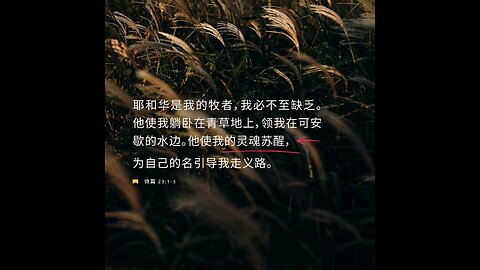 分享今日经文。 愿主与我们同在。阿门