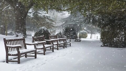 Relaxing Falling Snow with Music for Sleeping, Relaxing Music, Falling Snow, Stress Relief