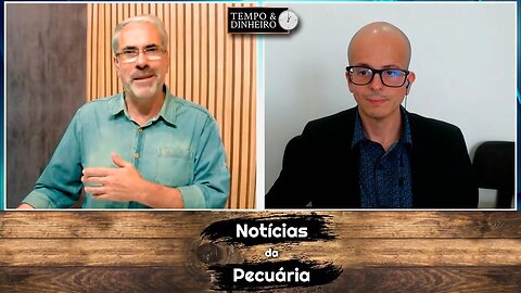 Boi gordo mira o mercado interno para possível reação de preços em 2023