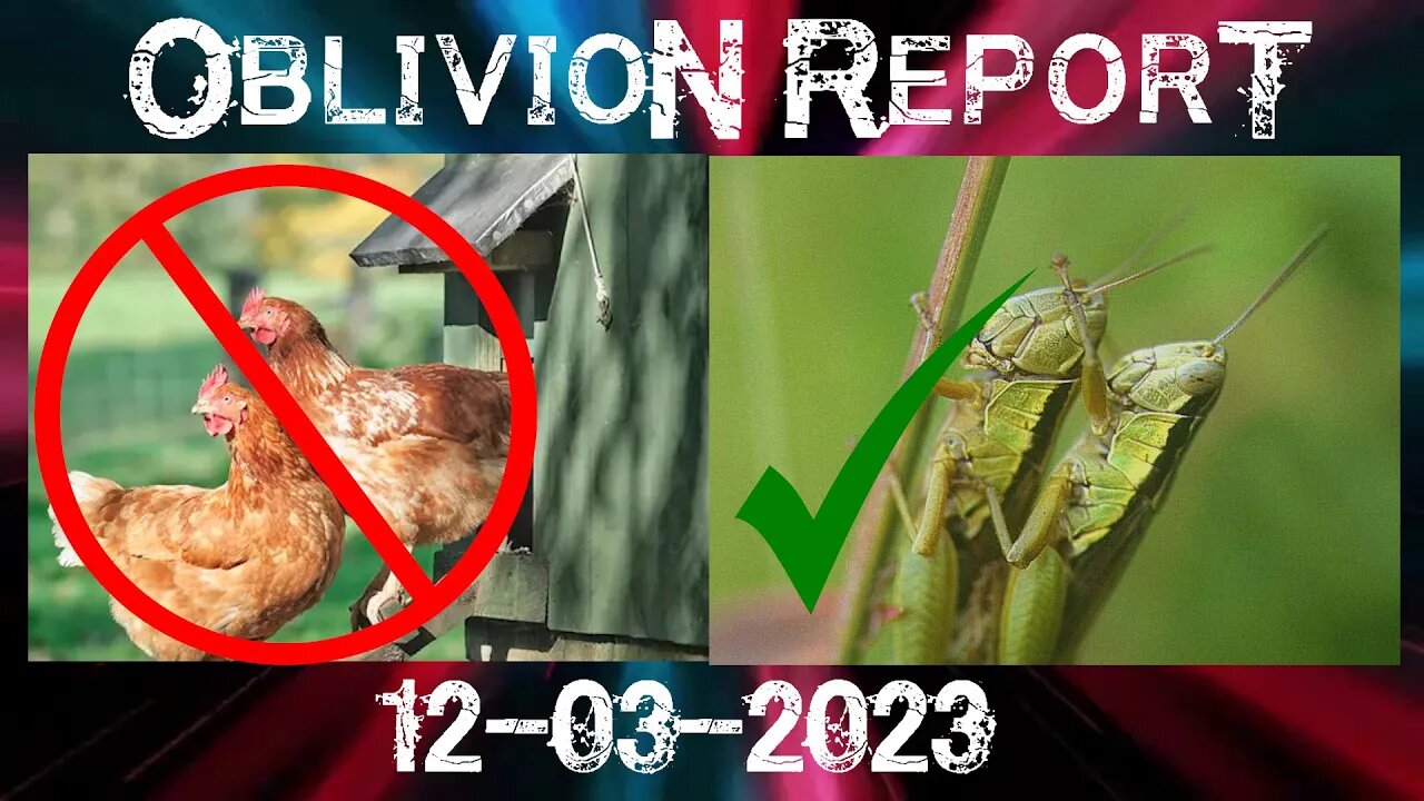 Oblivion Report - coming for your chickens (ep04 12/03/2023