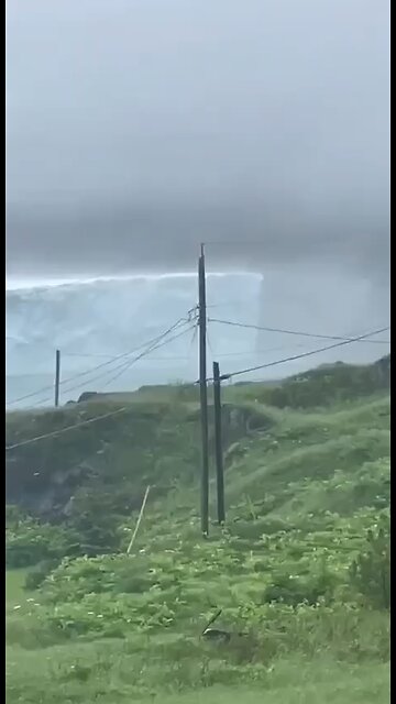 A giant iceberg has sailed to the Canadian island of Newfoundland.