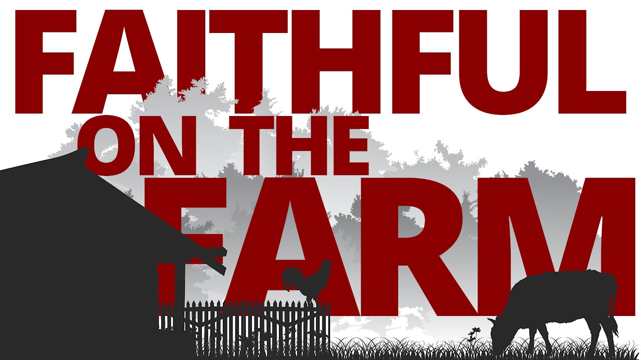 The Vortex — Faithful on the Farm