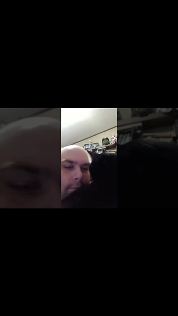 cat loves his daddy #shortsvideo #kittycat #shortsfeed #kitty #cat #youtubeshorts #catvideos