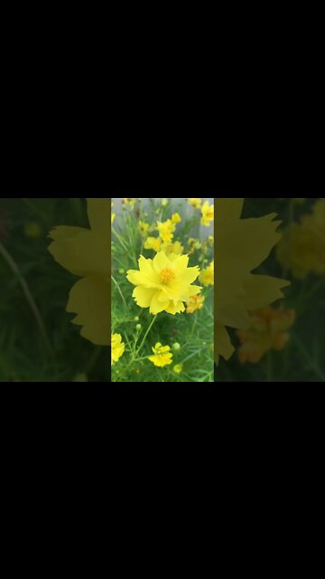 Beautiful? For you. ❤️