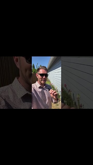 Elon Updates Twitter