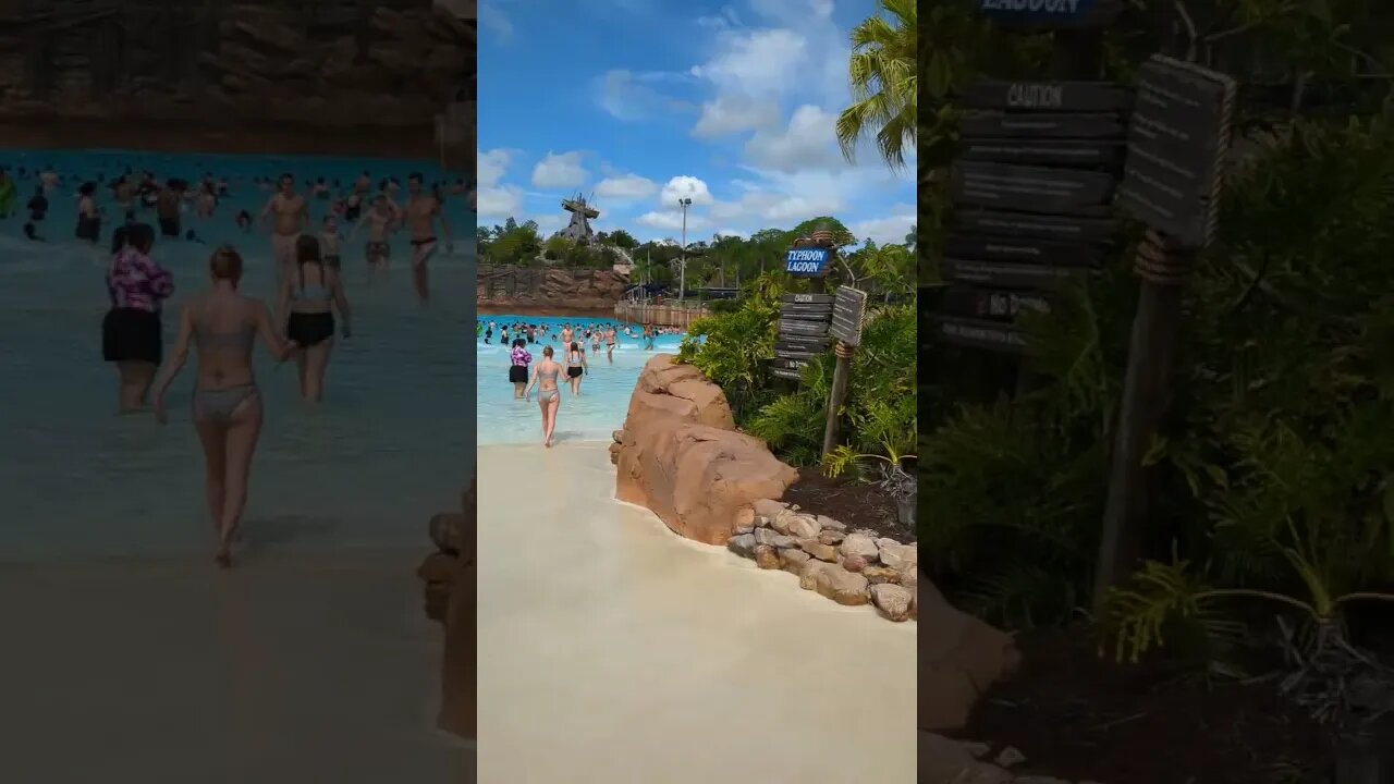 Disney's Typhoon Lagoon Waterpark - Big Wave #waterpark #disney #typhoonlagoon