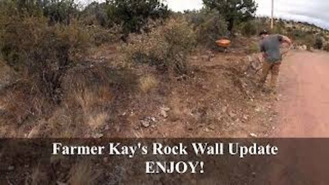 Farmer Kay's Rock Wall Update! PROGRESS!