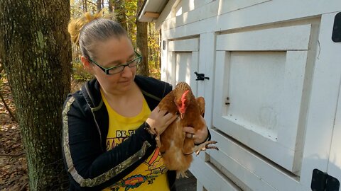 Chasing Chickens! | Just a normal day on the Homestead