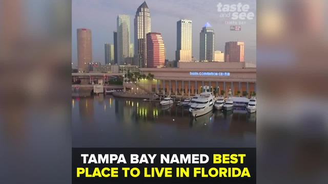 Tampa Bay named ‘best place to live in Florida’ by popular review site Niche | Taste and See Tampa Bay