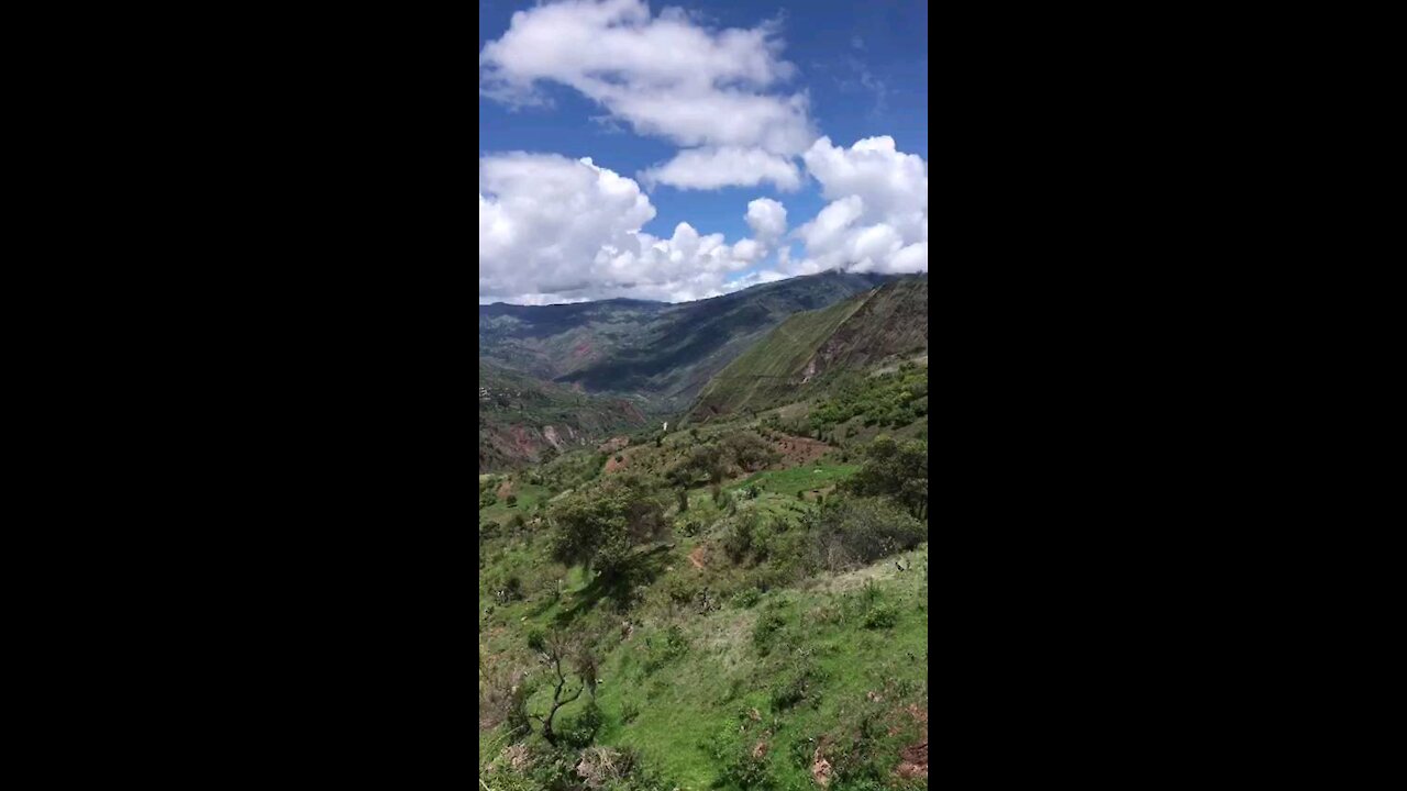 Avocado Farm in Peru