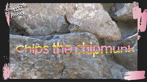 Chips the Chipmunk