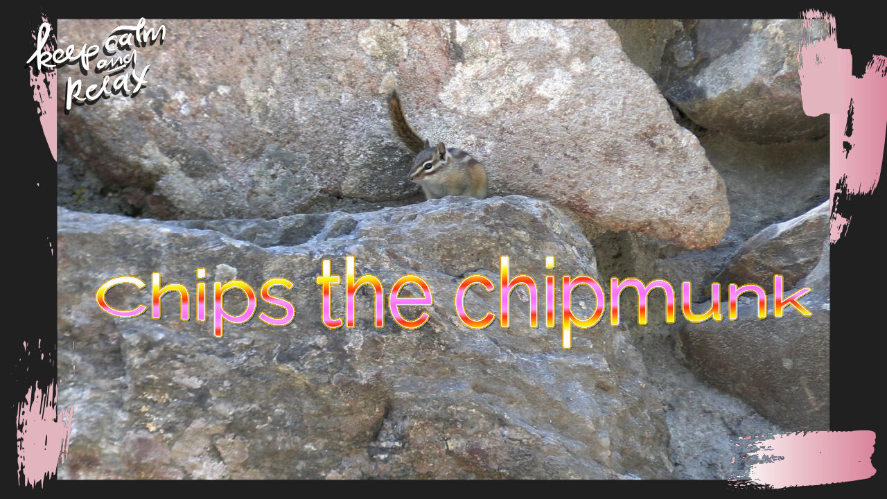 Chips the Chipmunk