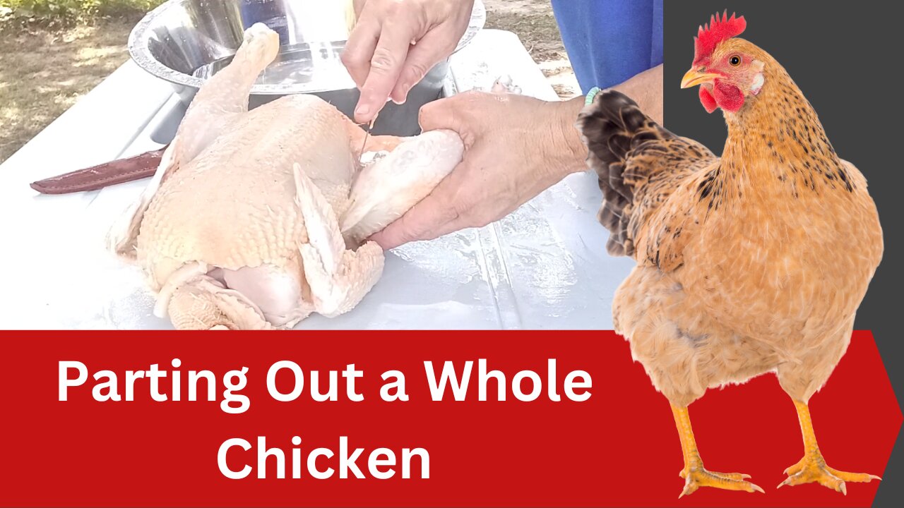 How to Part Out a Whole Chicken | Chicken Butchering