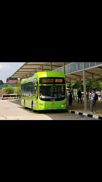 Bus Spotting at various places in Singapore