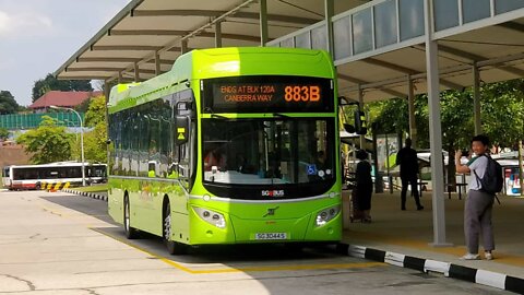 Bus Spotting at various places in Singapore