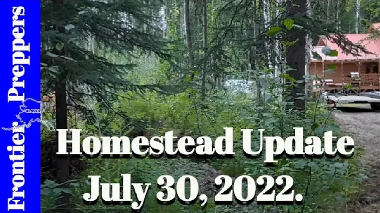 Homestead Update _ July 30, 2022.