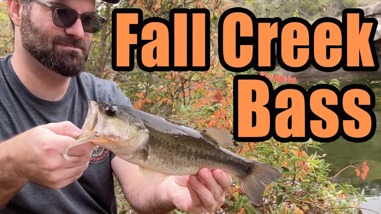 Fall Creek Bass Ultralight Fishing - Micro Finesse 2" Slim Shad Minnow