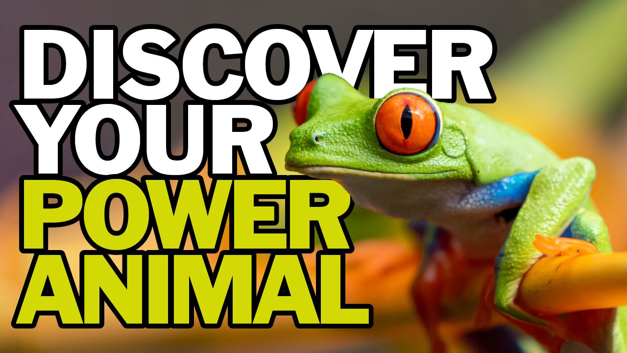 Discover Your Power Animal