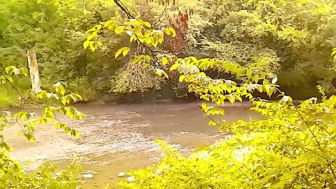 Sundayscape Clips Battelle Darby Creek Metro Park Pt 1