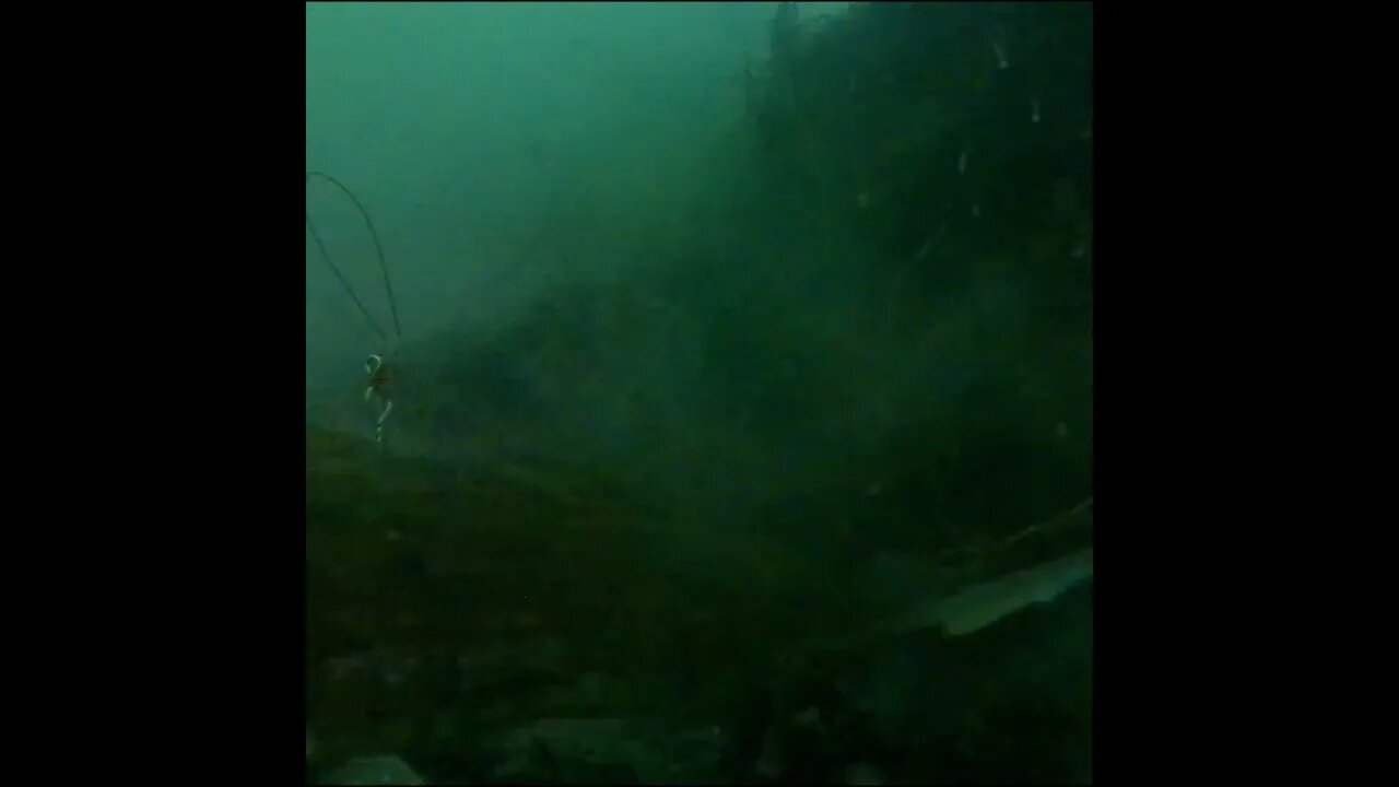 Murky depths in the intercostal