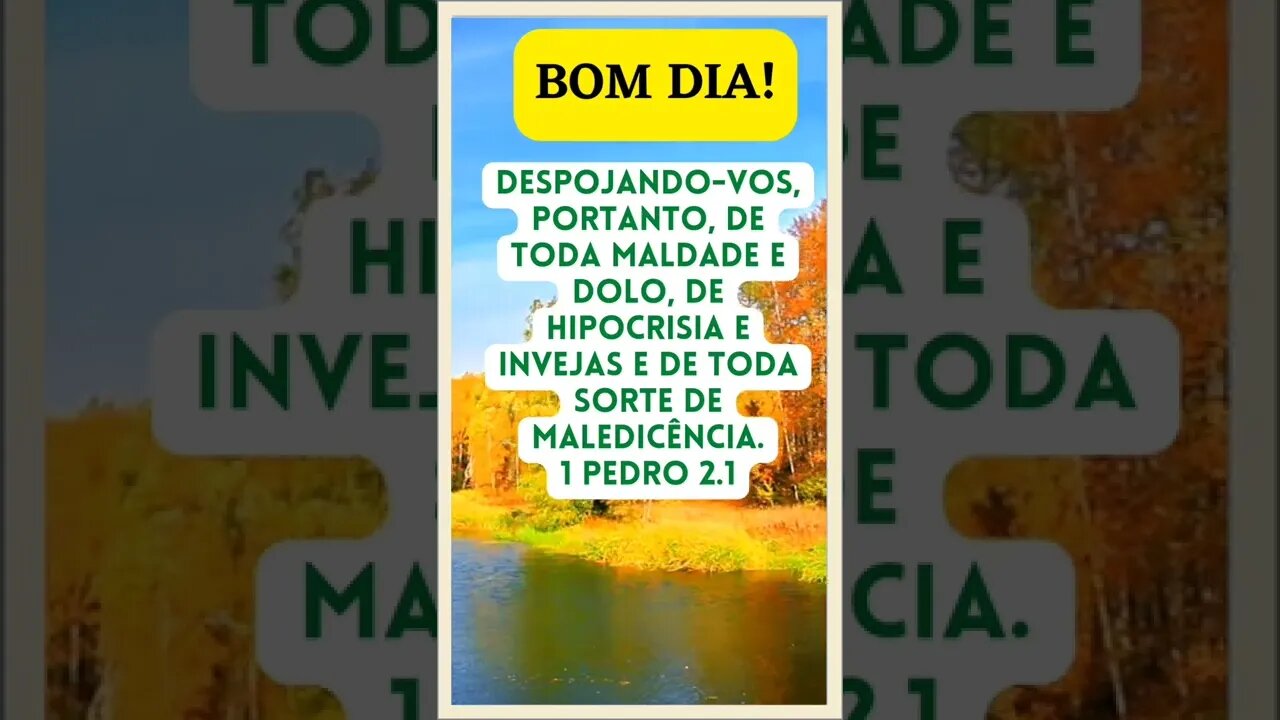 BOM DIA COM AS ESCRITURAS SAGRADAS.#shorts