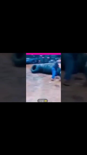 Efficiency😂😂#shorts