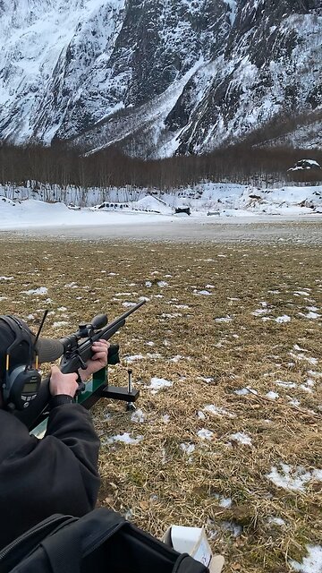 Sauer 101 .223 Remington